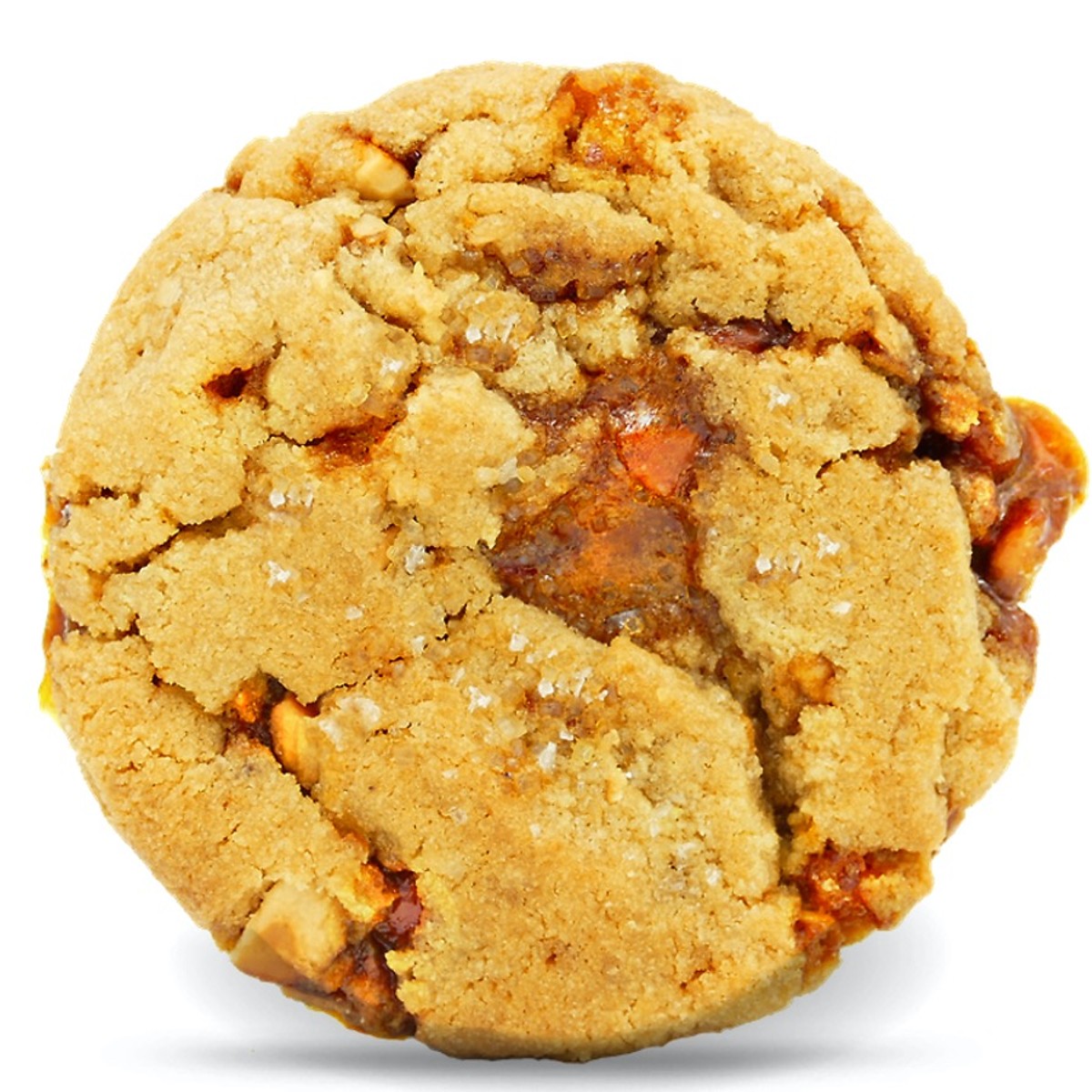 GoodCook Gourmet Cookie Dropper Delivery - DoorDash