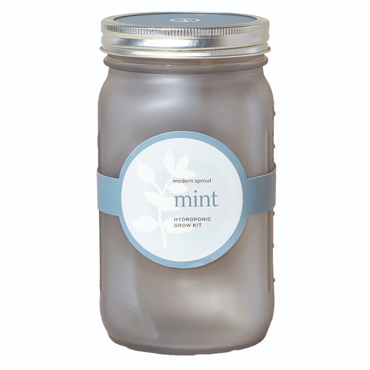 16oz. Plastic Mason Jars by Celebrate It™, 3ct.