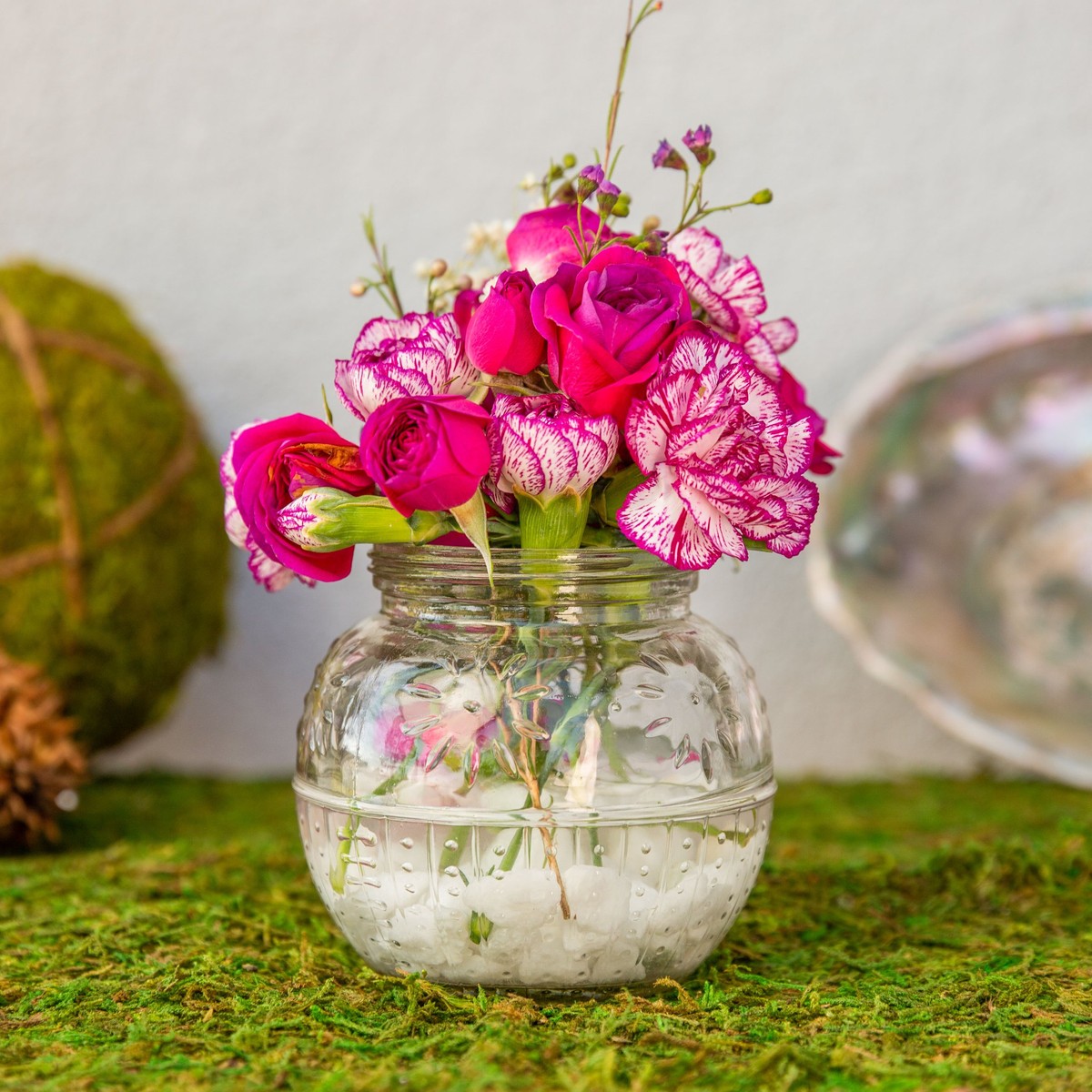 ROSE OF JERICHO Resurrection Plant For Blessings, Joy & Abundance. –