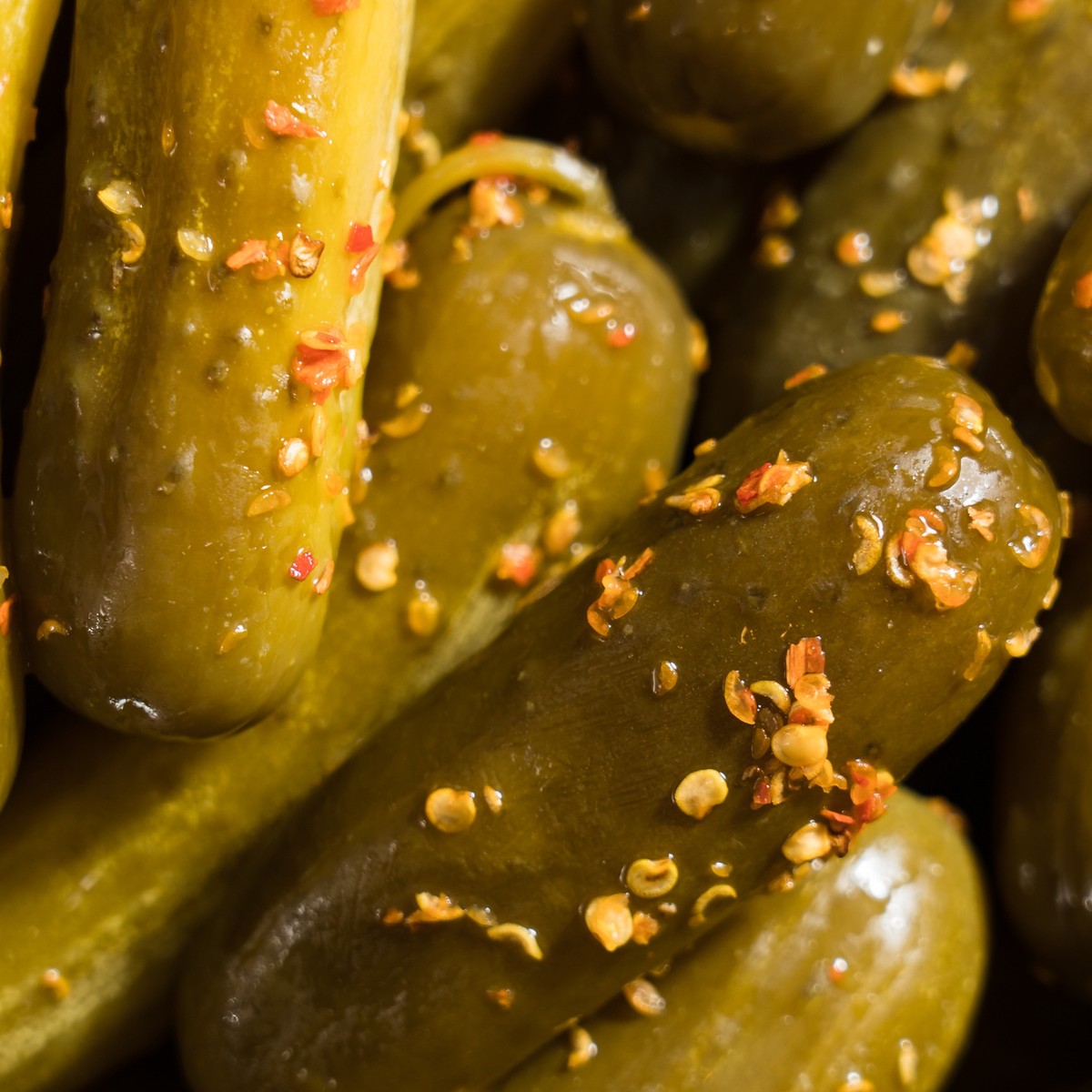 The Pickle Guys & All Things Pickle on New York's East Side • We Blog The  World