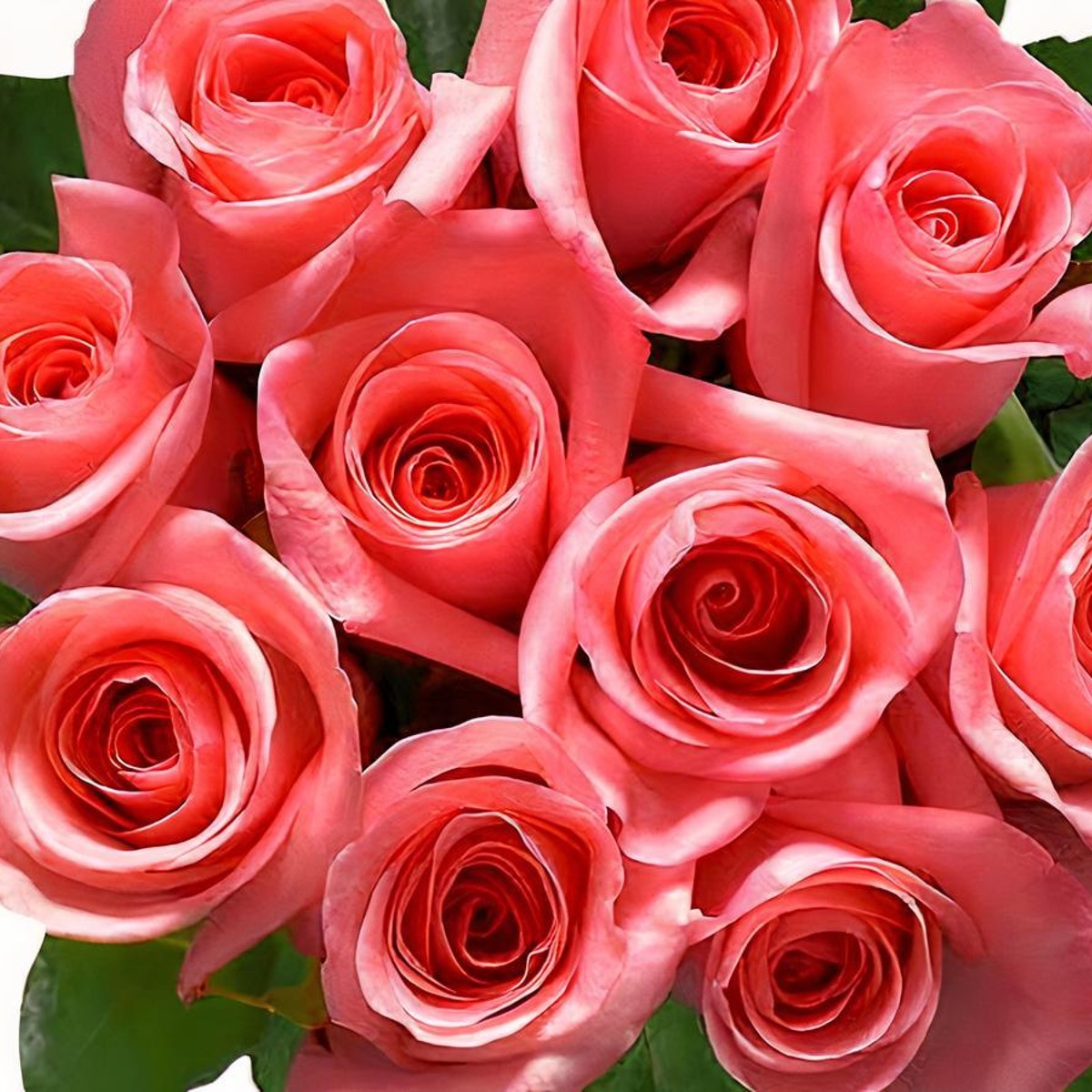 10 Dozen Assorted Rose Bouquet buy bulk flowers- JR Roses