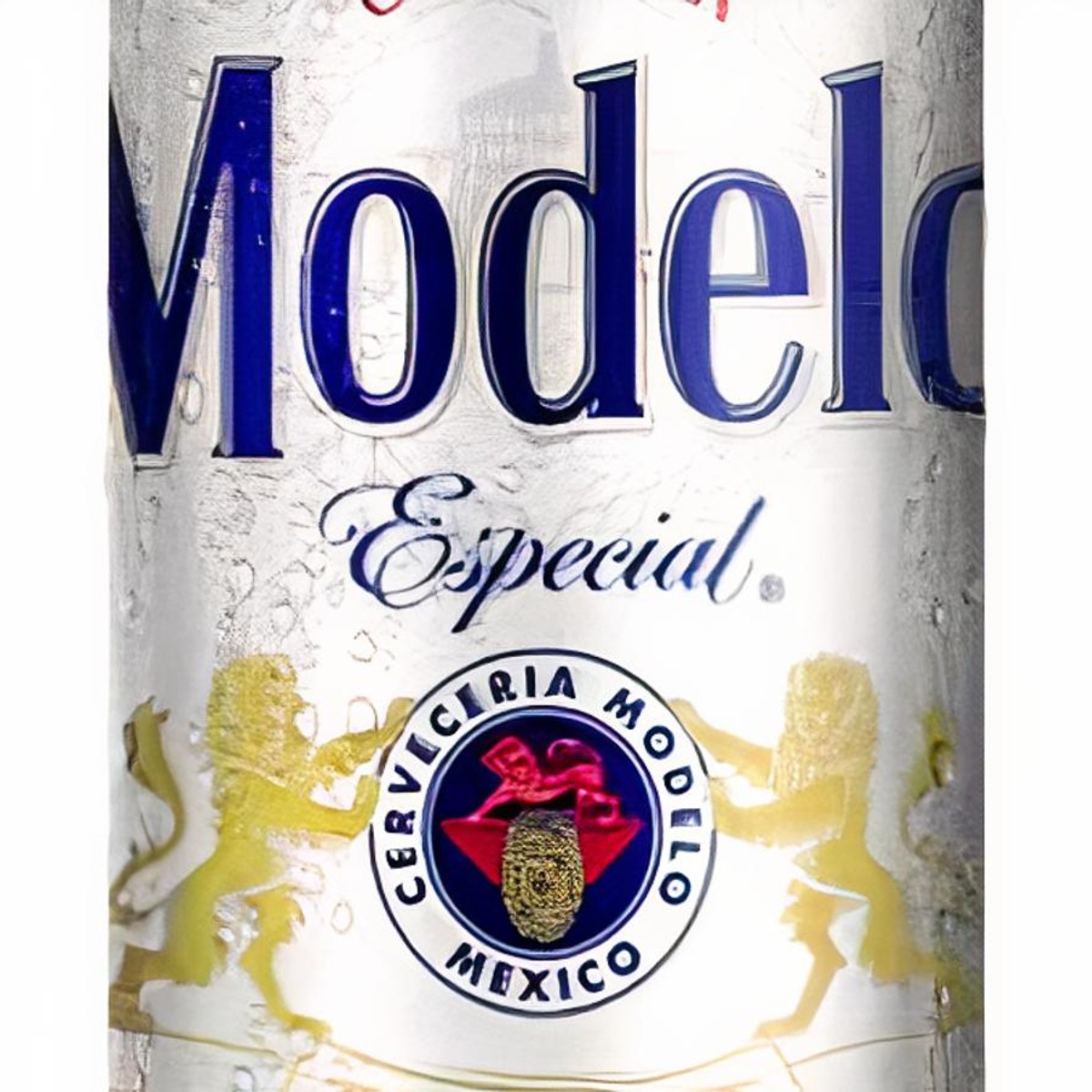 Modelo Especial Beer 24x355ml Case