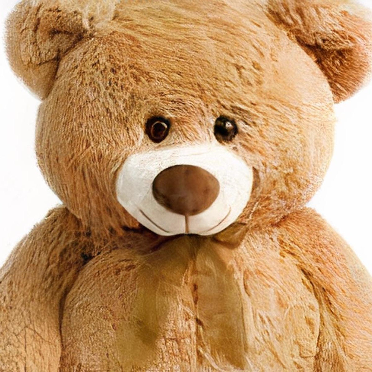 Plush - Brown Sugar Teddy Bear - #1 Florist in Central Ohio