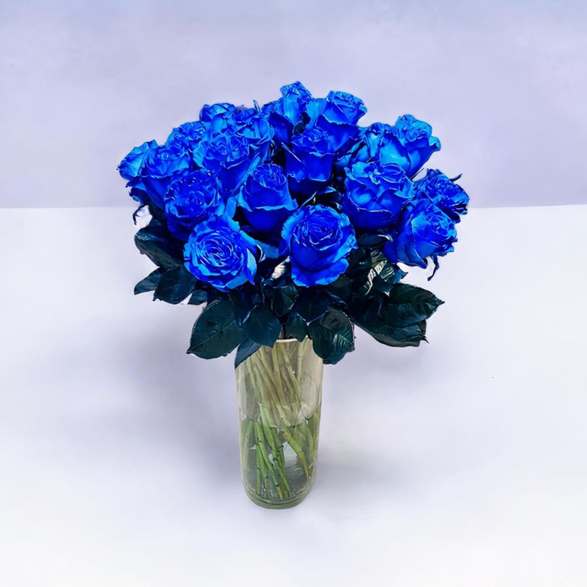 NYC Ice Blue Rose Bouquet in Black Paper｜12 Stems – FlowerEver