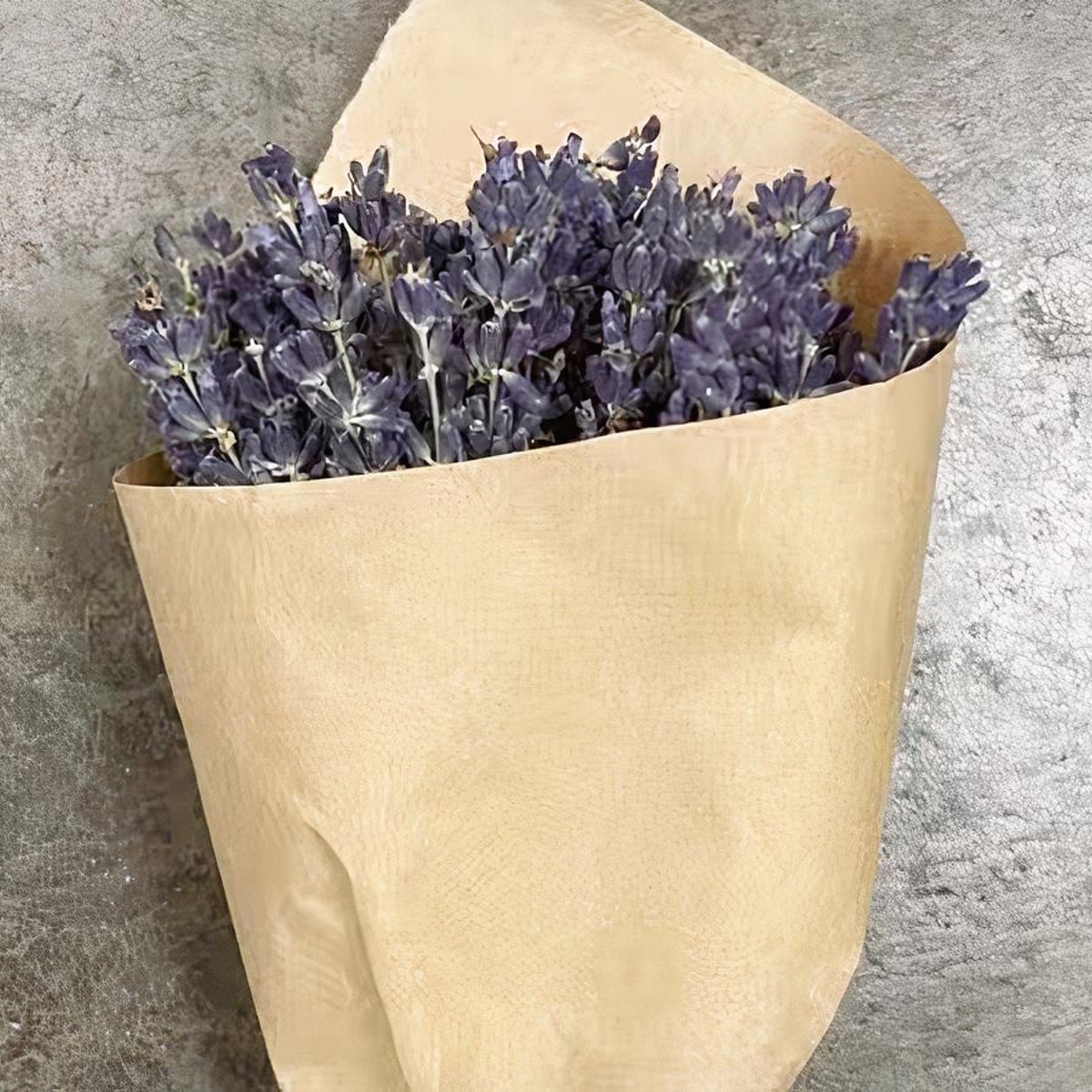 Dried French Lavender Bunches- Set of 2 - New York Lavender by the