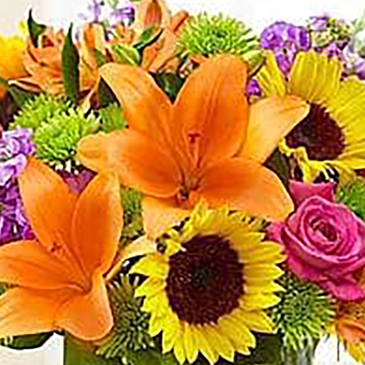 Floral Concepts (5606 Parkersburg Drive) Floral Delivery - DoorDash
