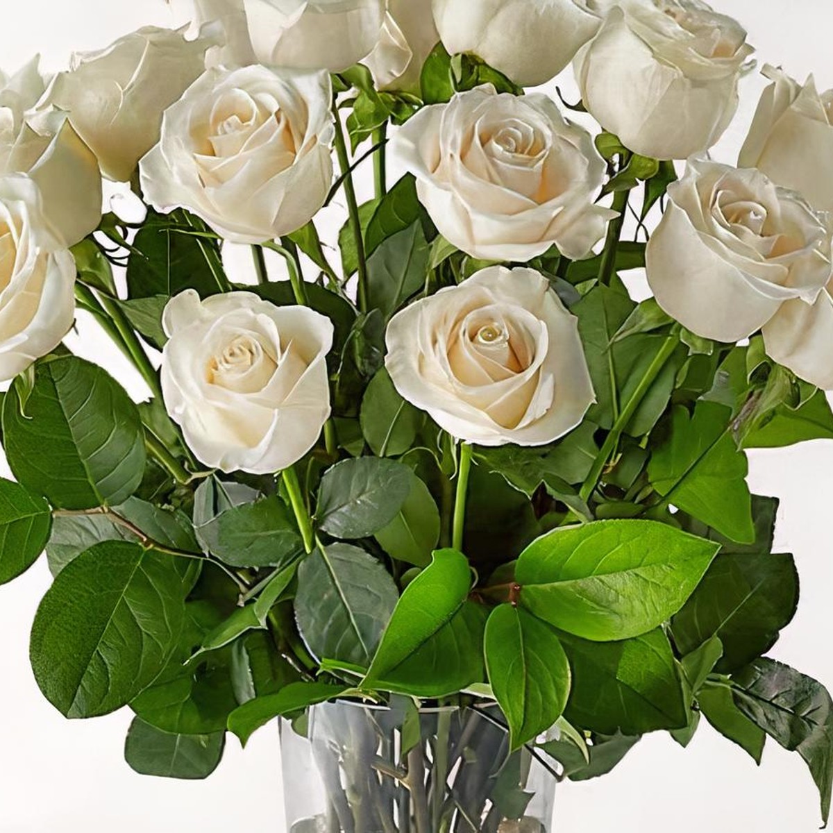 Long Stem White Rose Bouquet