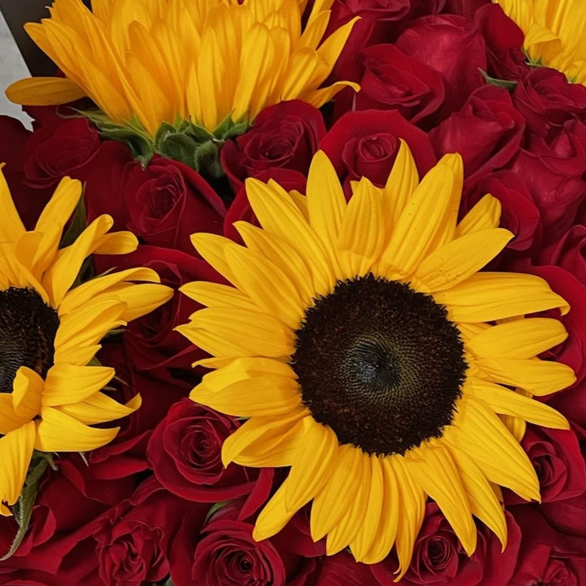 Sunflowers Ramo Buchon