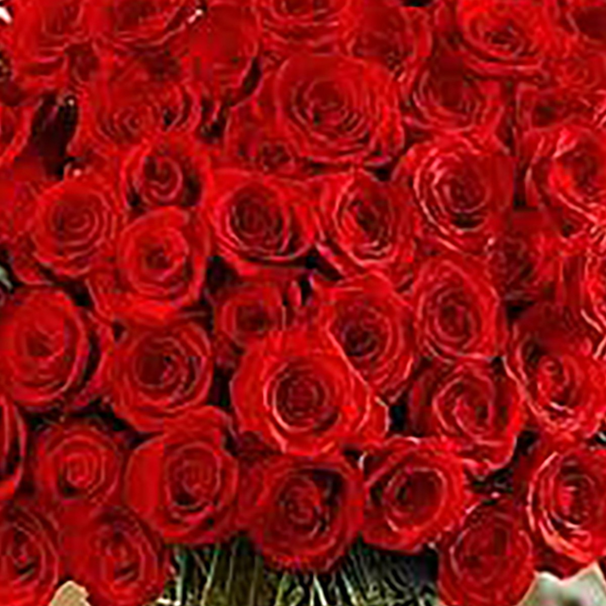 100 Premium Long Stem Red Roses in a Vase™