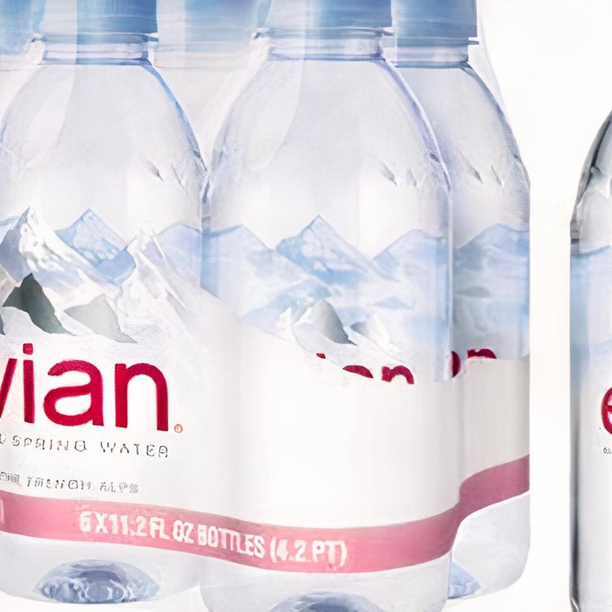 evian Natural Spring Water, Bottled Natural Spring Water, Water  Bottles, Naturally Filtered Spring Water in Mini-Sized Bottles, Great for  Home or Work, 11.16 Fl Oz (Pack of 24) : Grocery 