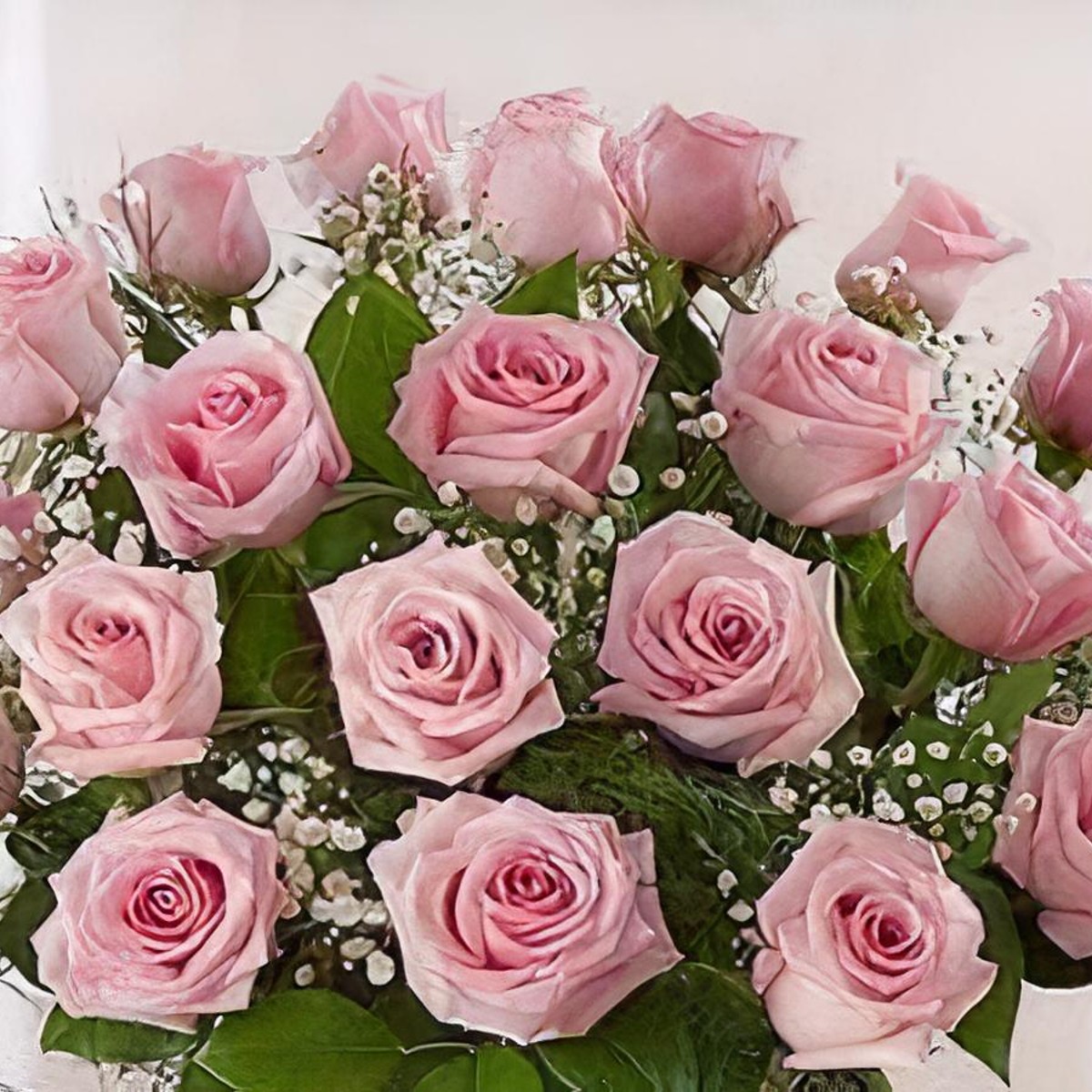 24 Stems Multicolor Staten Island Florist: Petals on Page Florist - Flower  Delivery in NY, 10307