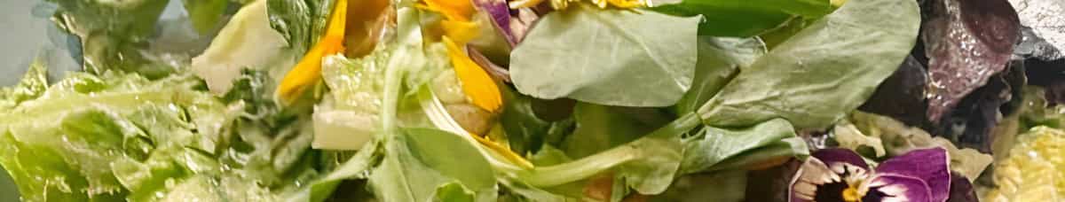 OG Baby Lettuce Salad
