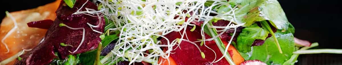 Fresh Vegetable Starter Salad