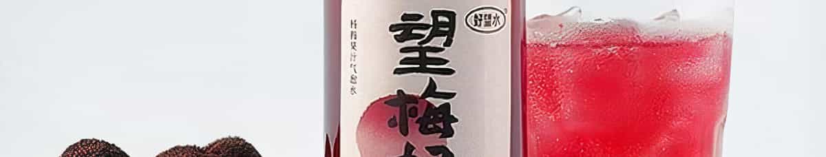 Waxberry Flavor Drink 望梅好