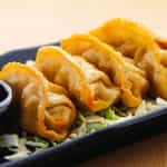 Fried Pork Gyoza Dumplings